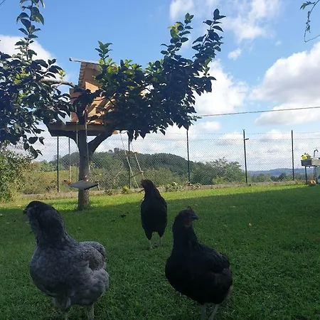 Апартаменты L'alveare San Damiano d'Asti
